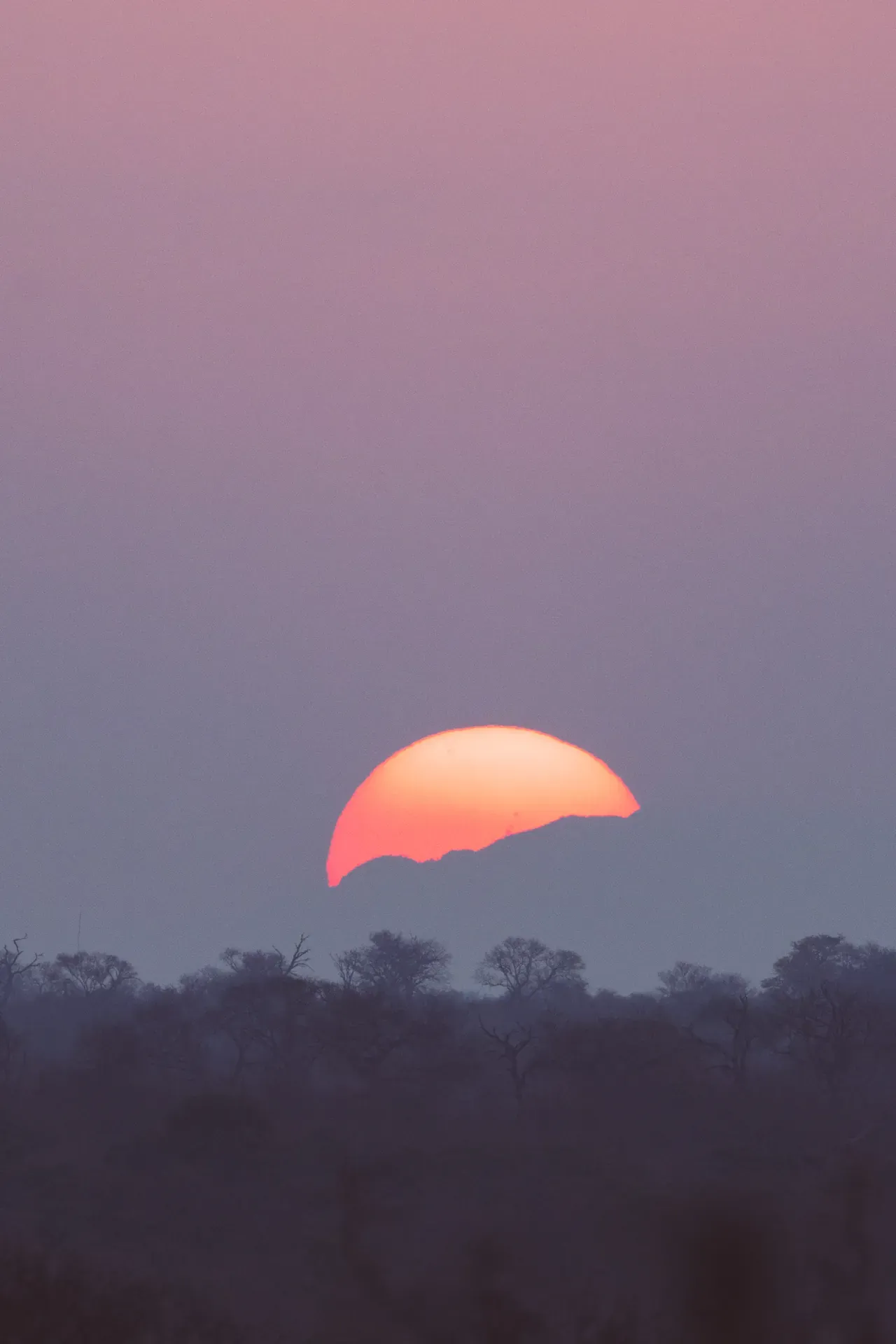 Sun setting over the African bush at Monwana Lodge, casting a glow on the landscape.