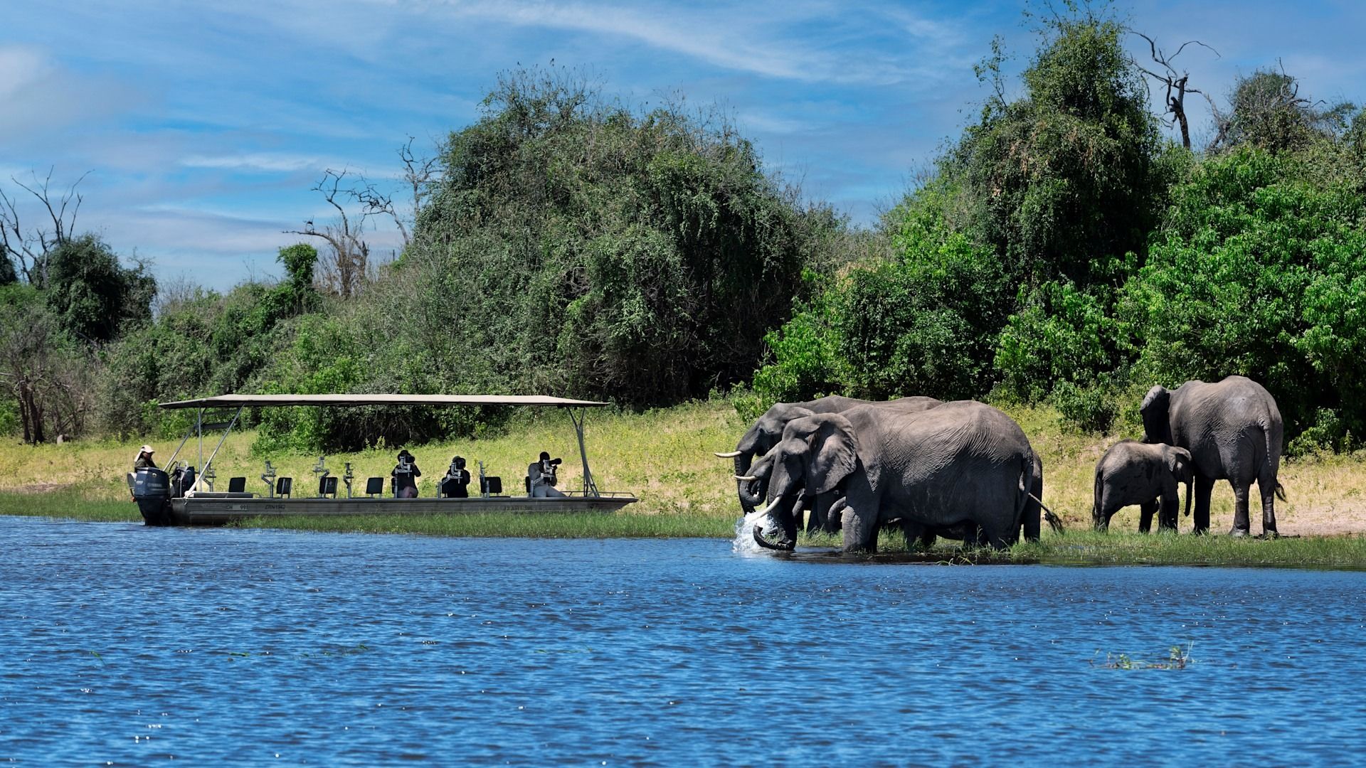 Morning and Afternoon Chobe Game Drives