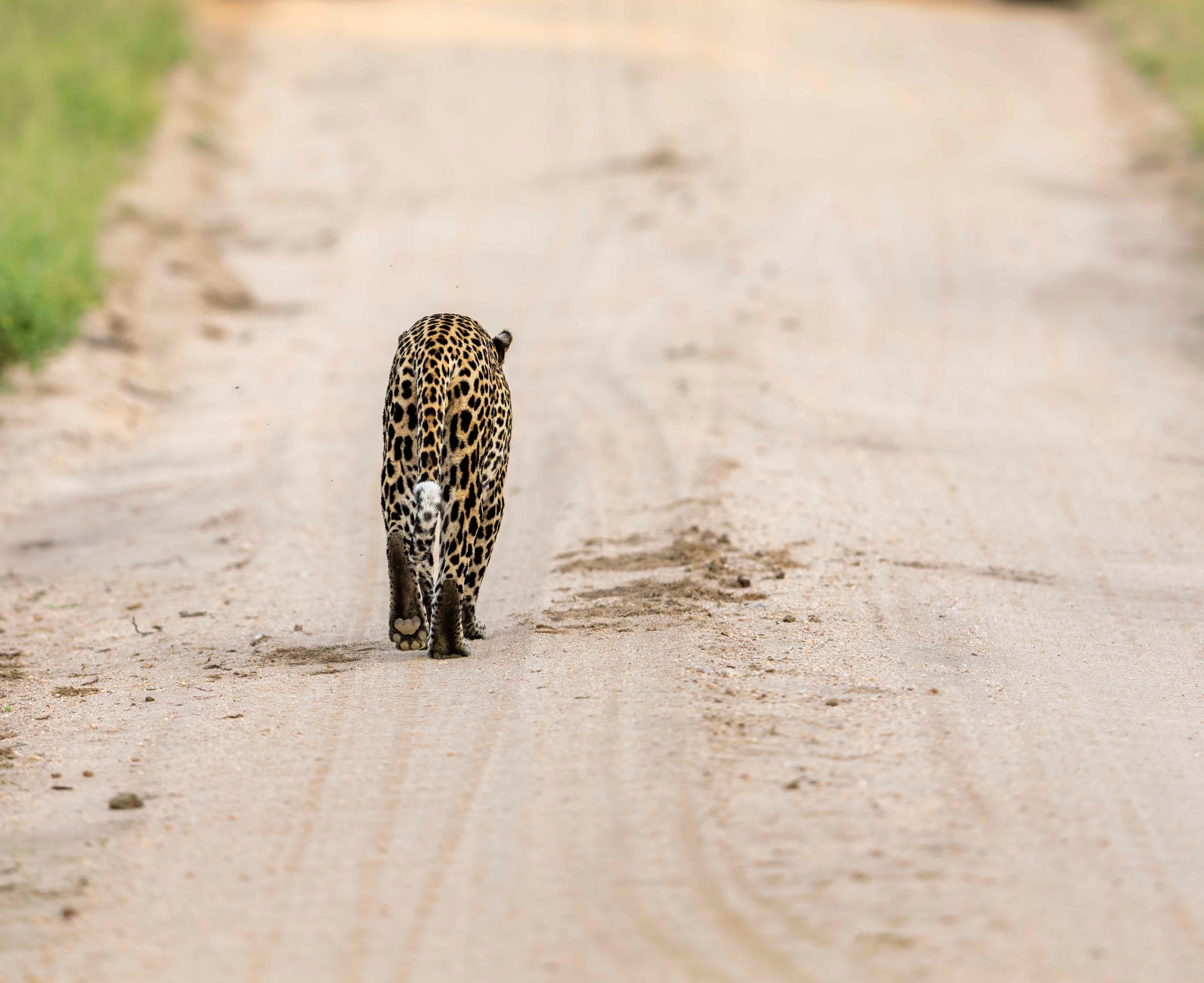 Blog post banner image