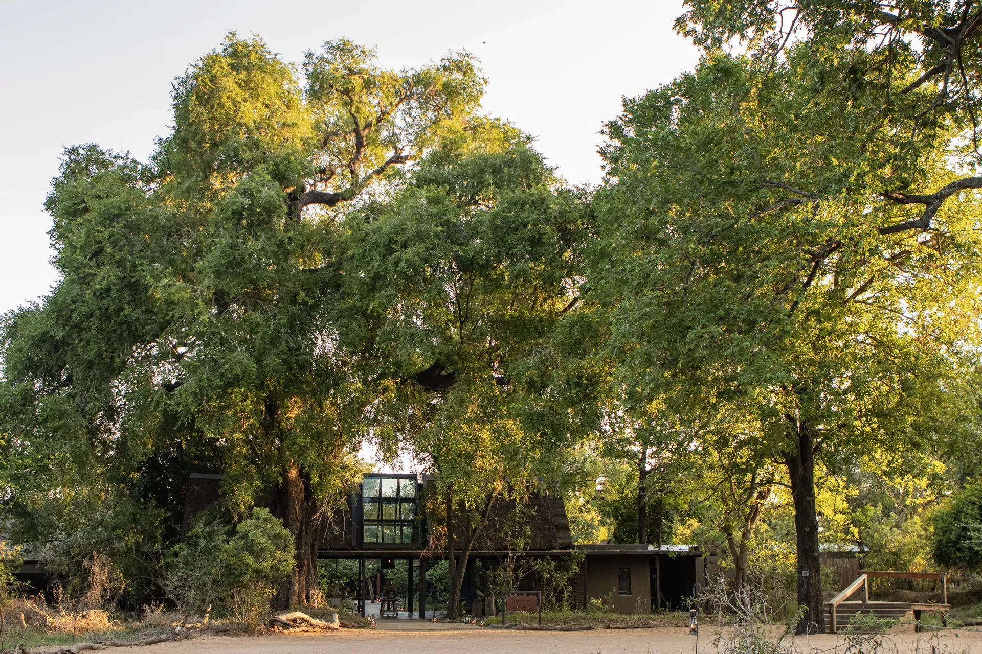 Blog post banner image