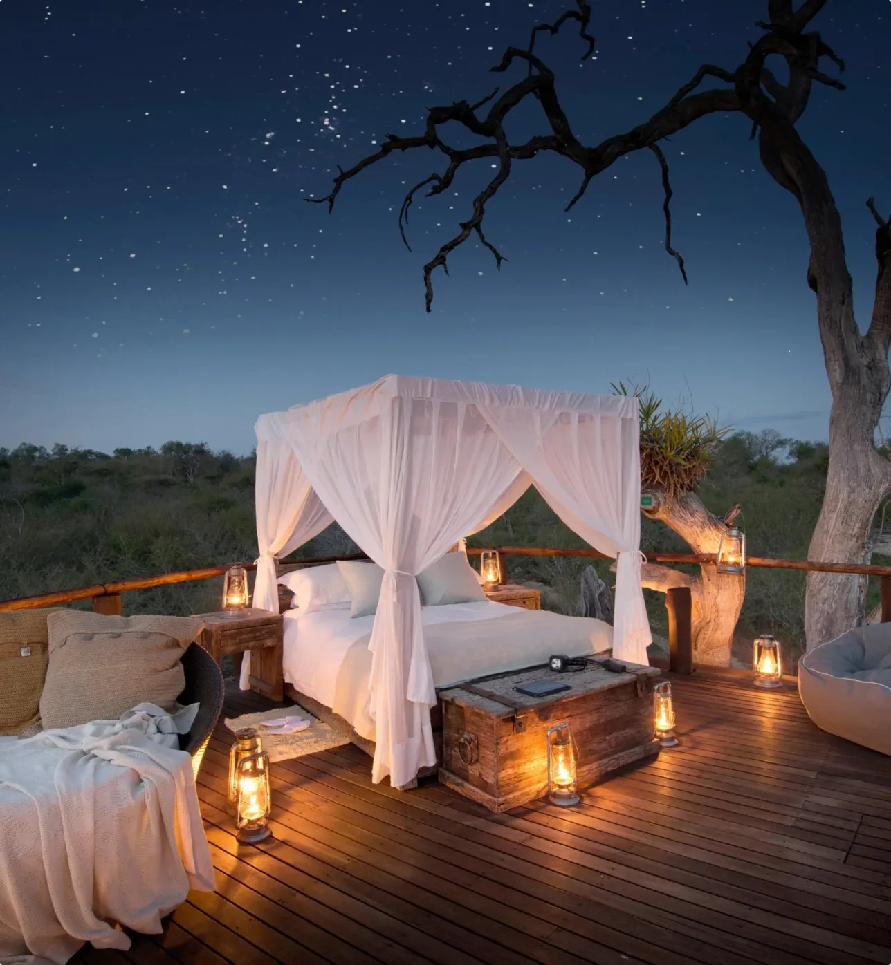 star gazing gallery2