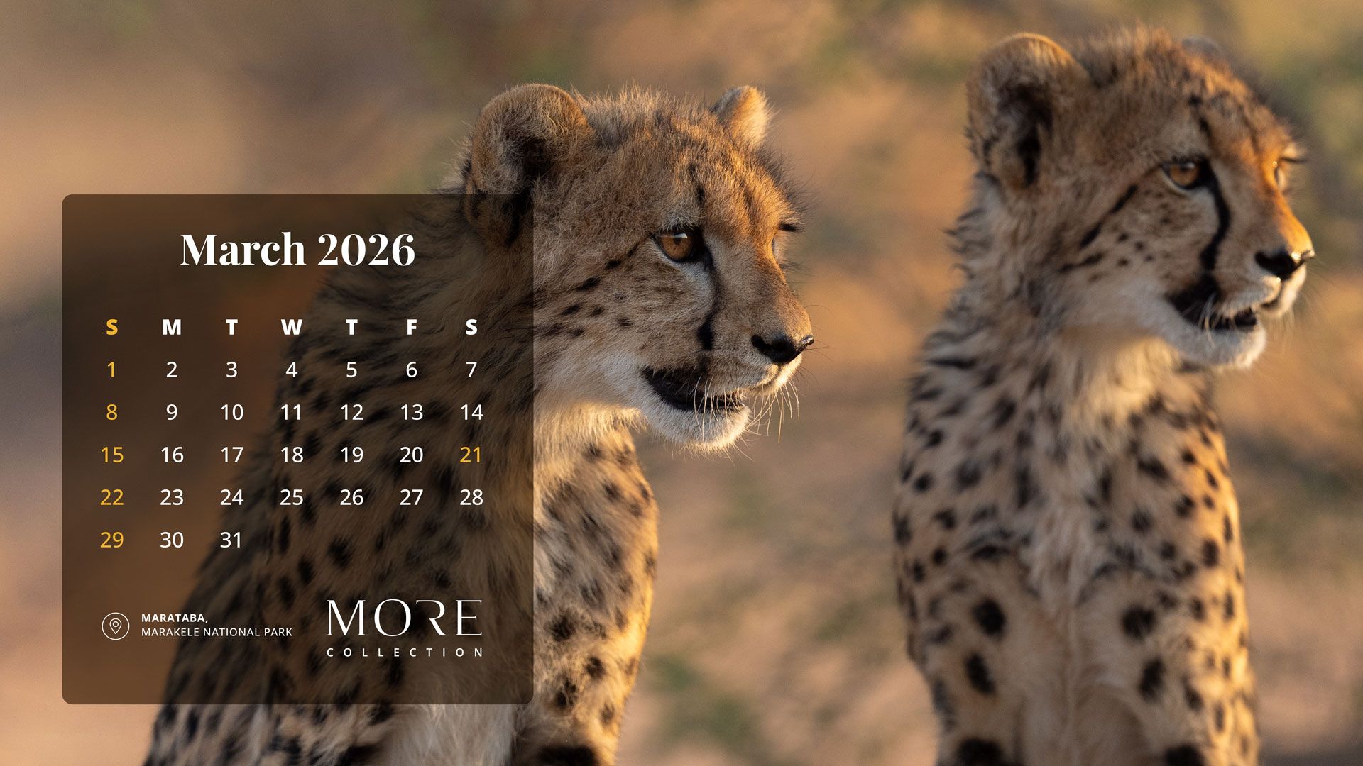 March 2026 Desktop Calendar