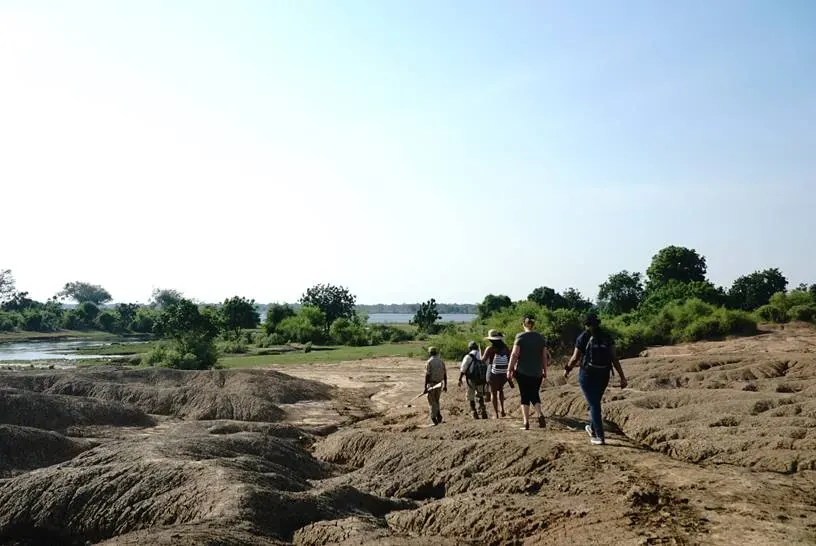 Group of people on a guided walking safari across open grassland under a clear blue sky