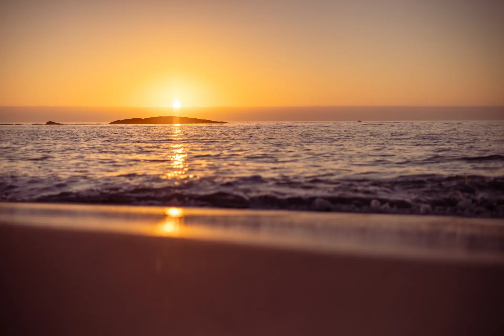 Family Ocean And Wildlife Safari