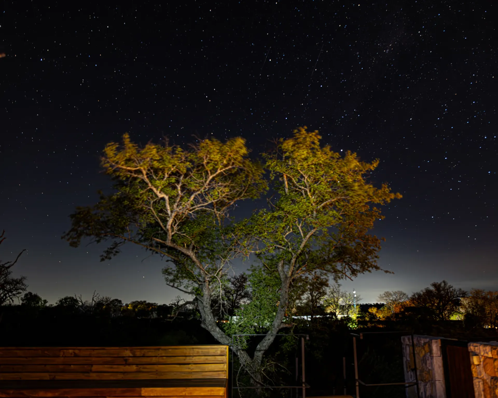 Clear night sky filled with stars over the African bush at Monwana Lodge.