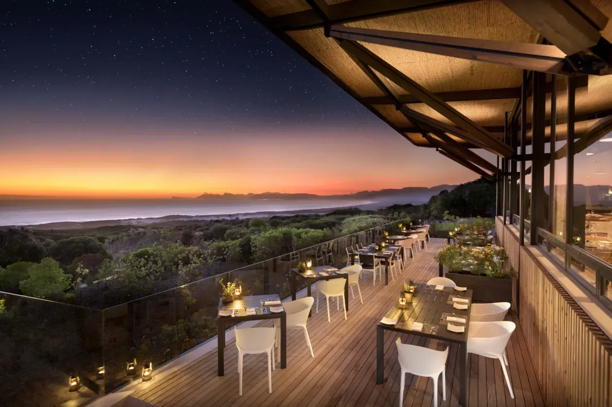 Fynbos Hike and Milkwood Forest Adventure