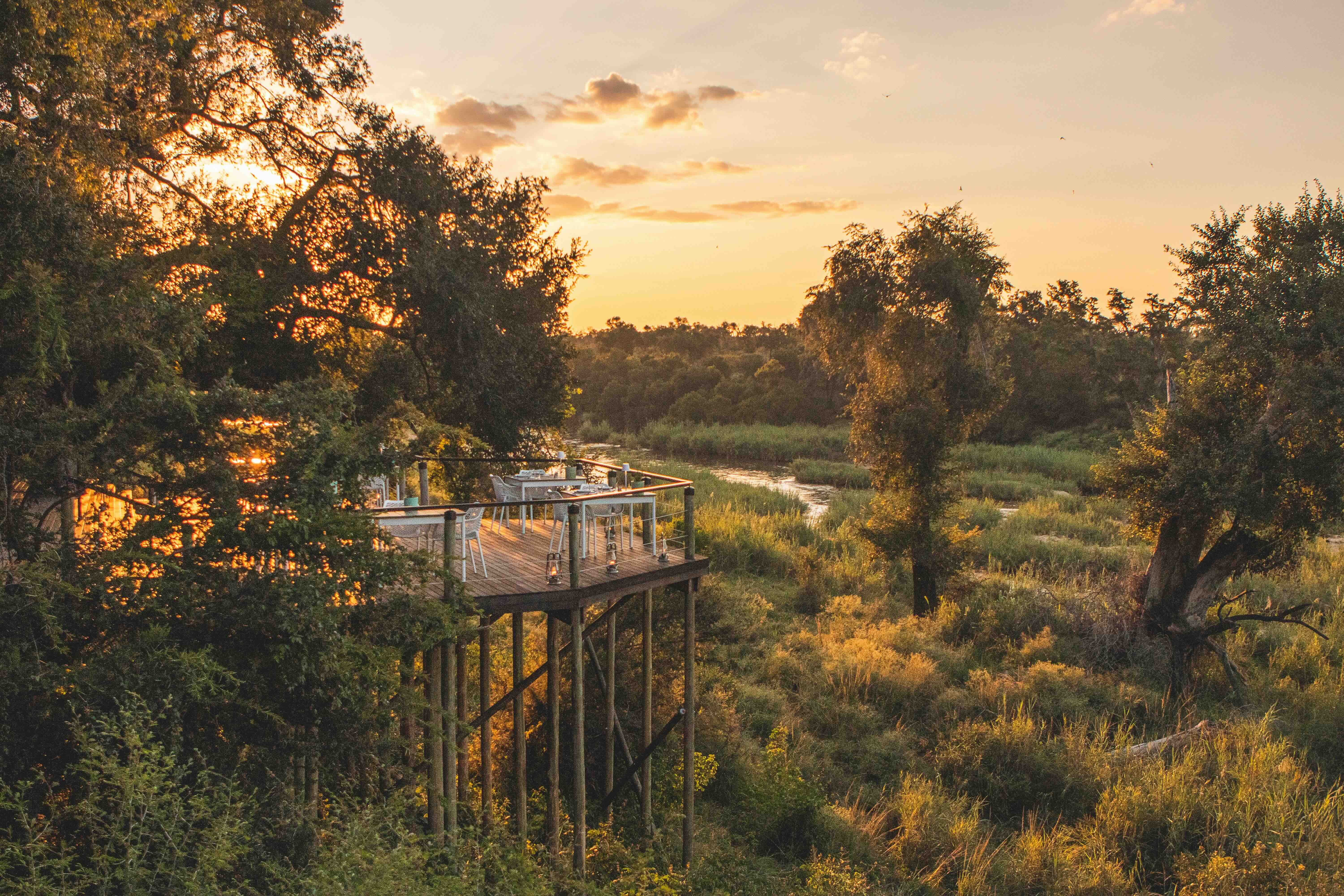Journey to Kruger National Park - Lion Sands Narina Lodge