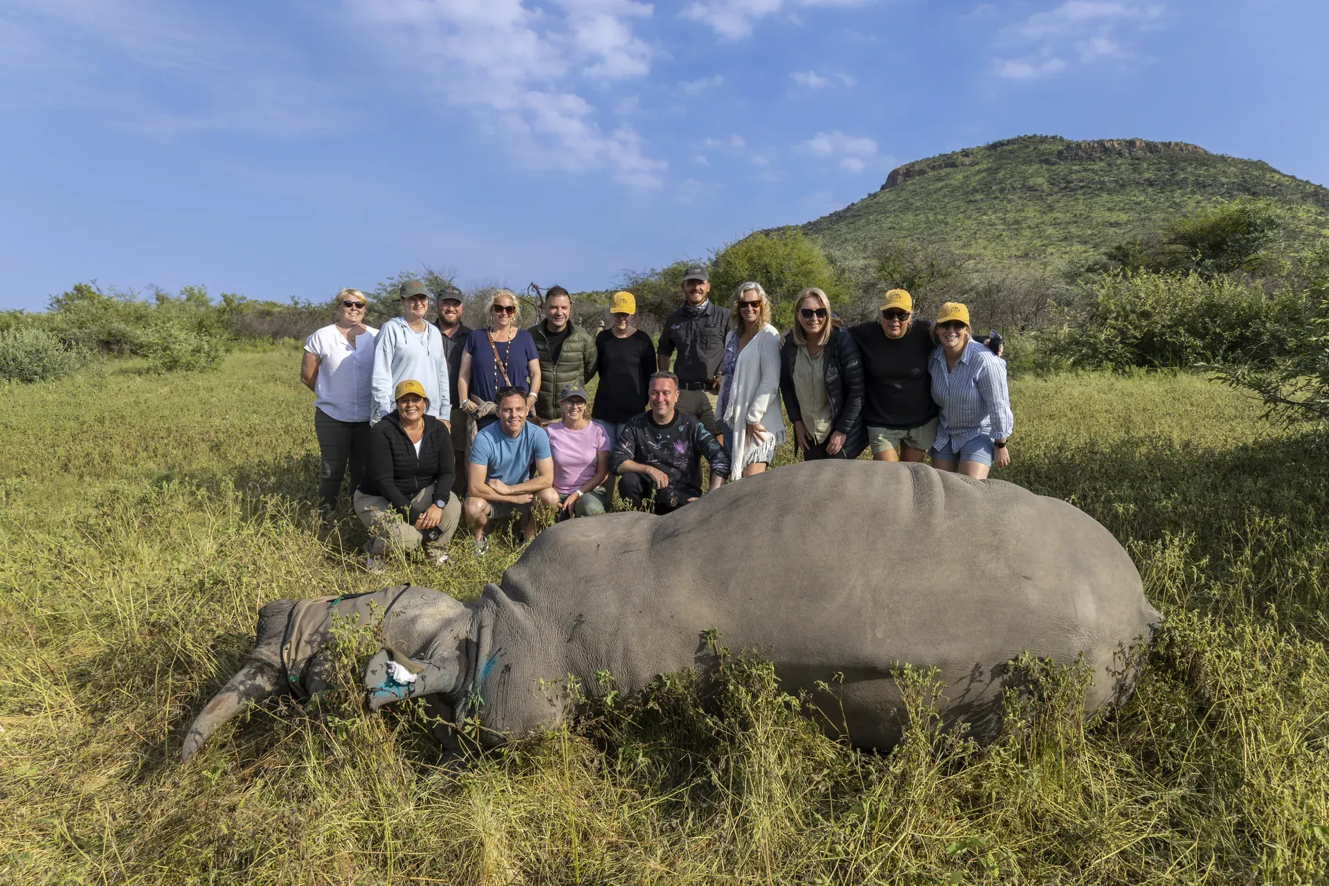 Marataba – Guests posing for a group photo with sedated rhino after a conservation procedure.