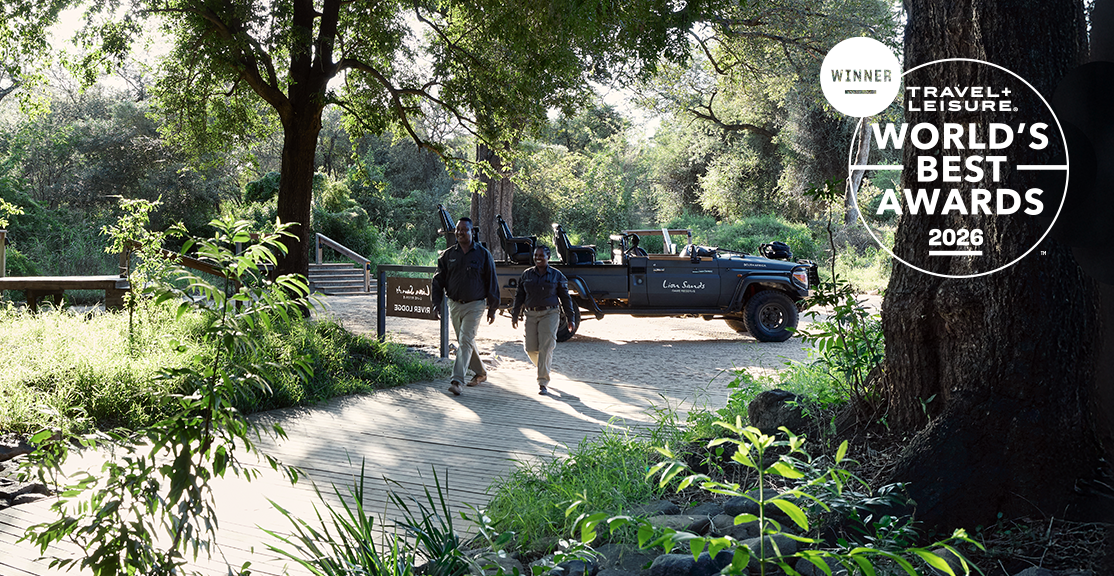 Travel + Leisure World’s Best Awards: Why Lion Sands Was Named the No. 1 Africa Safari Lodge