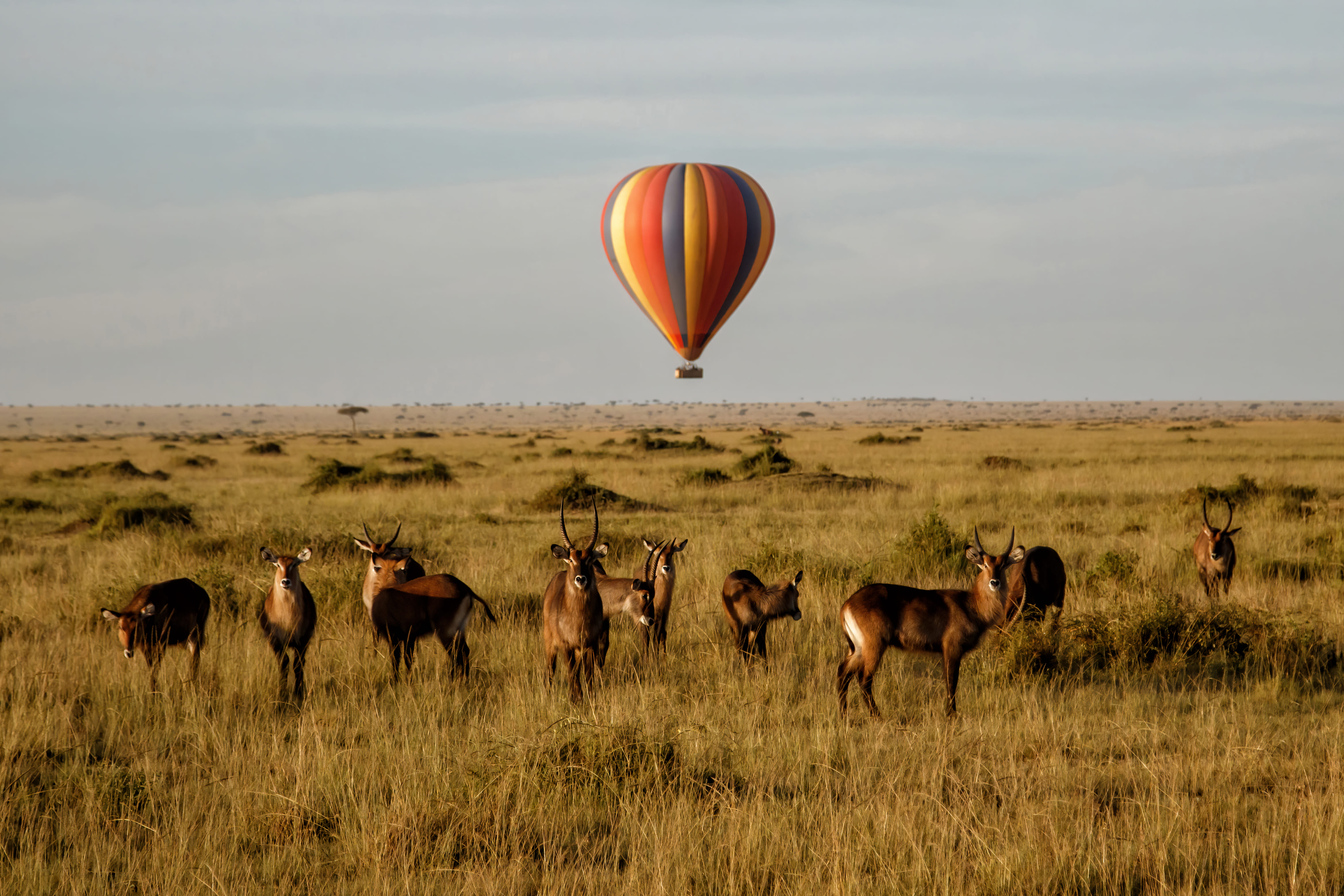Kenya