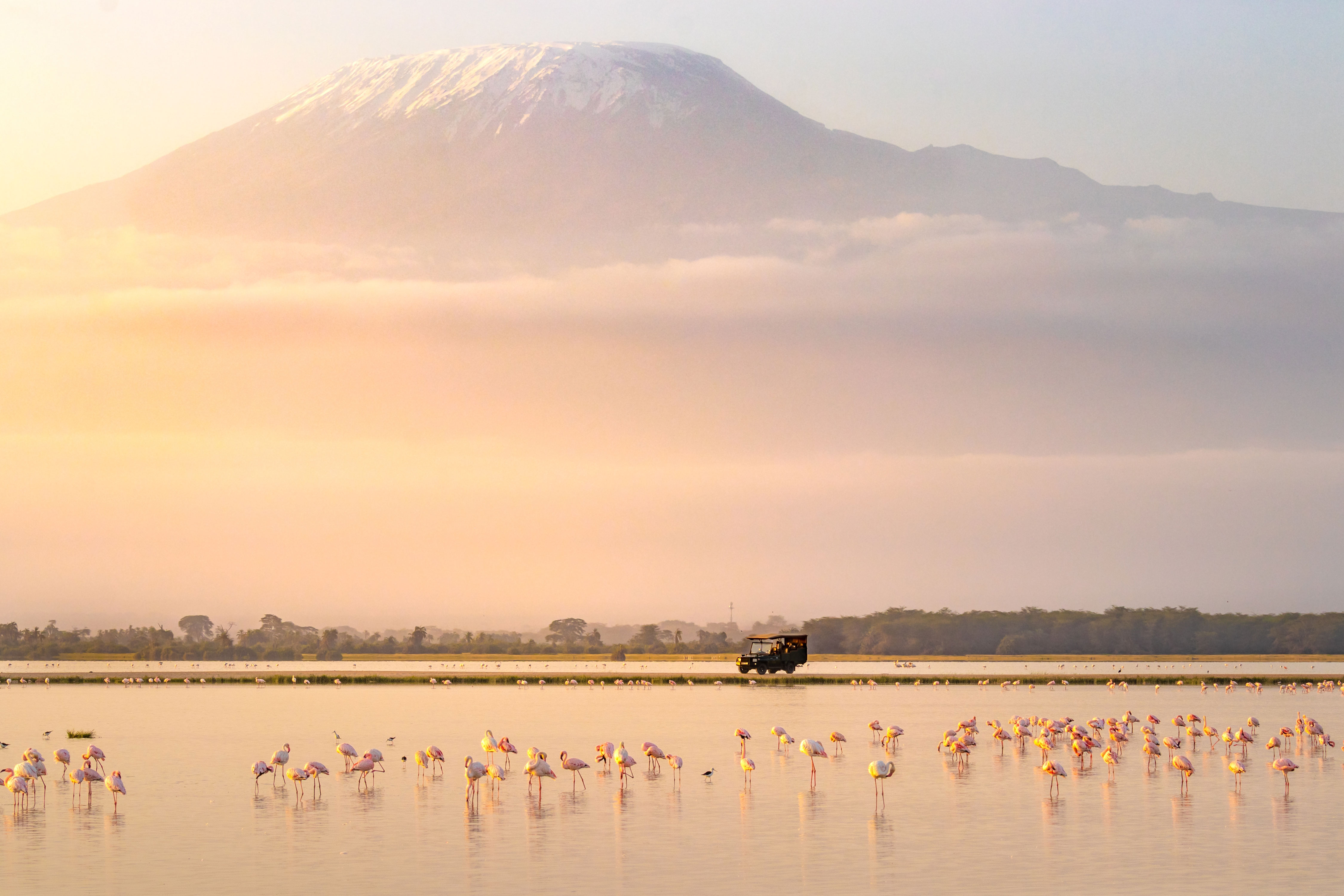  A Timeless Kenya Safari
