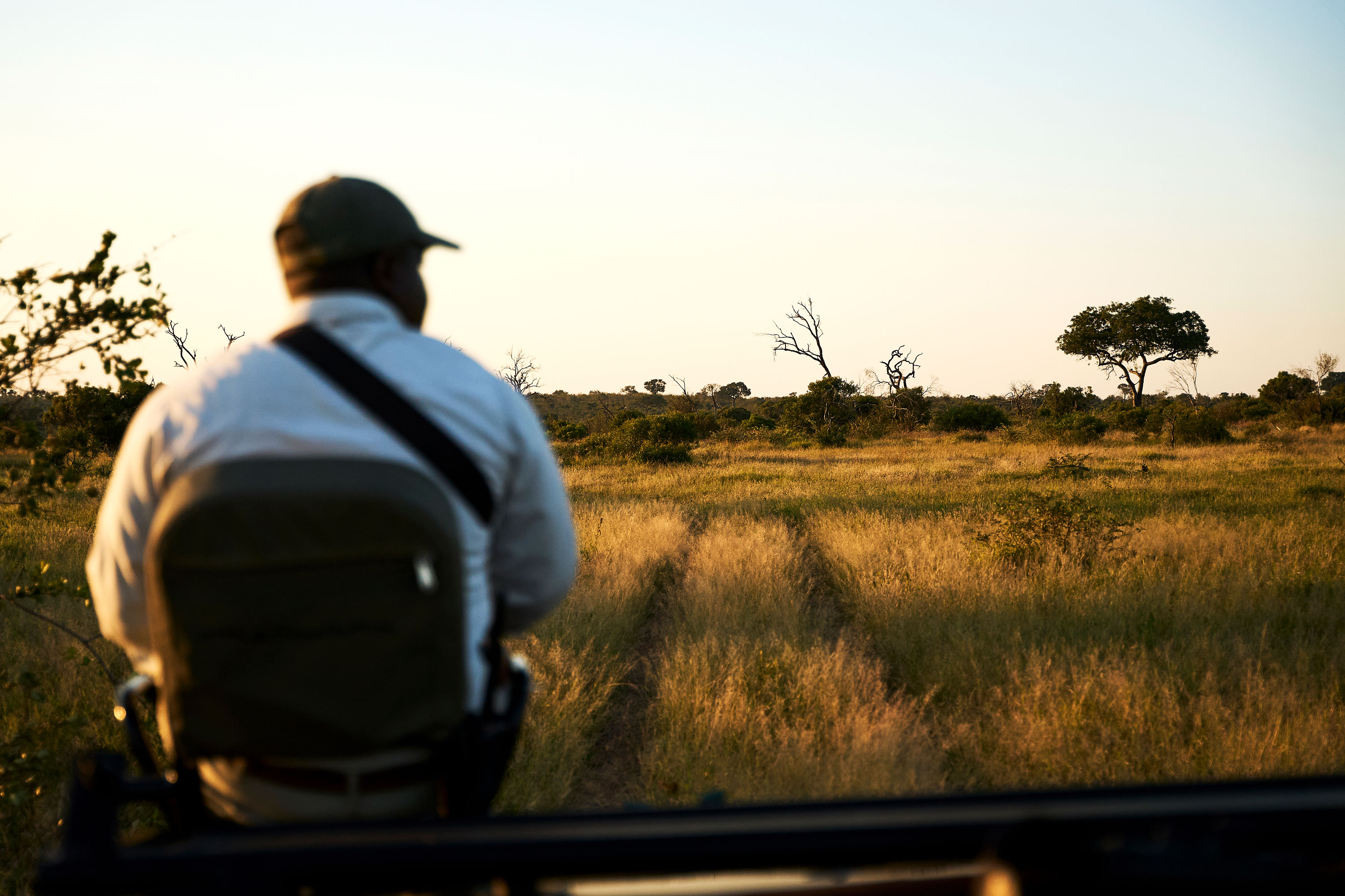 Safaris