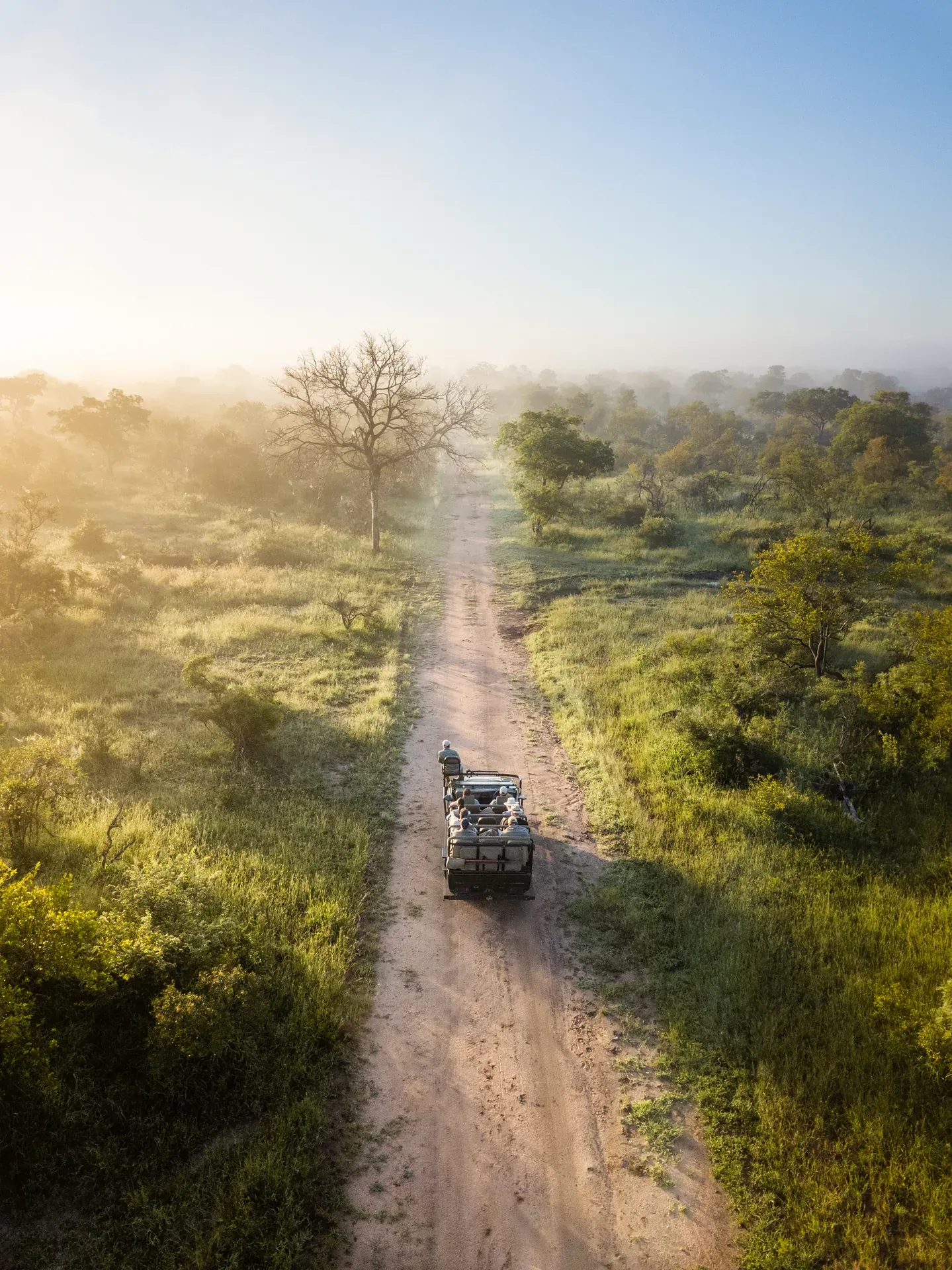 Aerial view of a game drive near Monwana Lodge, surrounded by lush green bushveld.