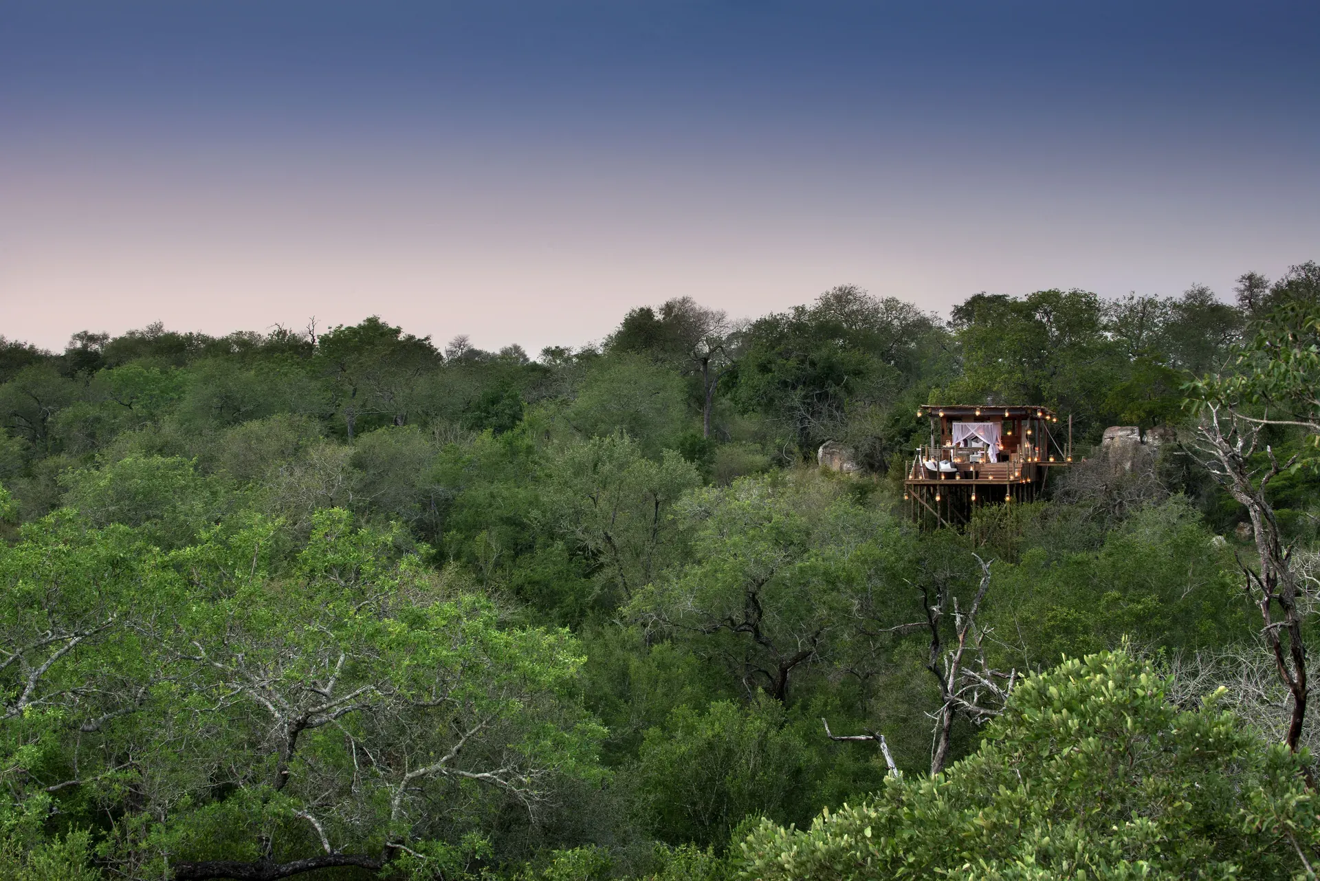 Sleeping in a Treehouse on Safari at Lion Sands