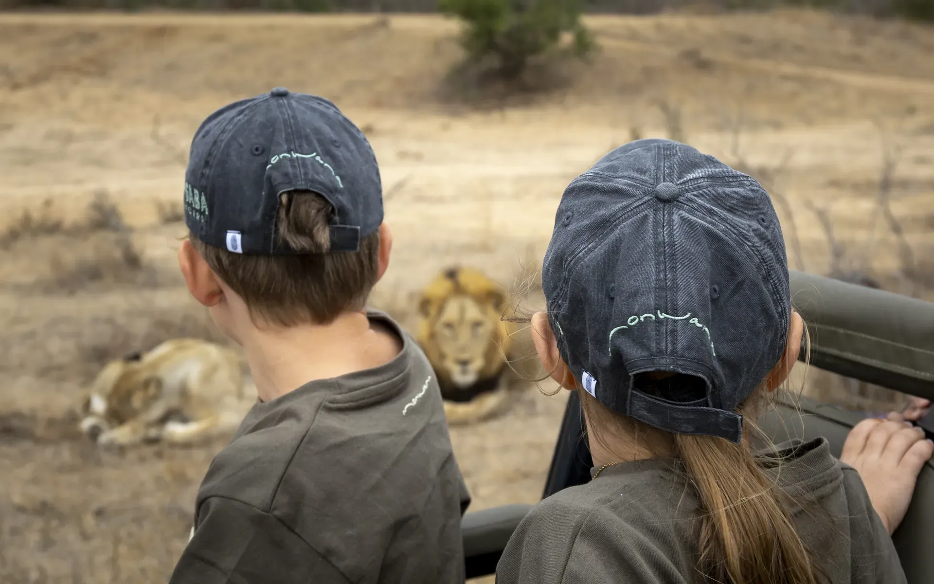 Children observing lions for wildlife education.