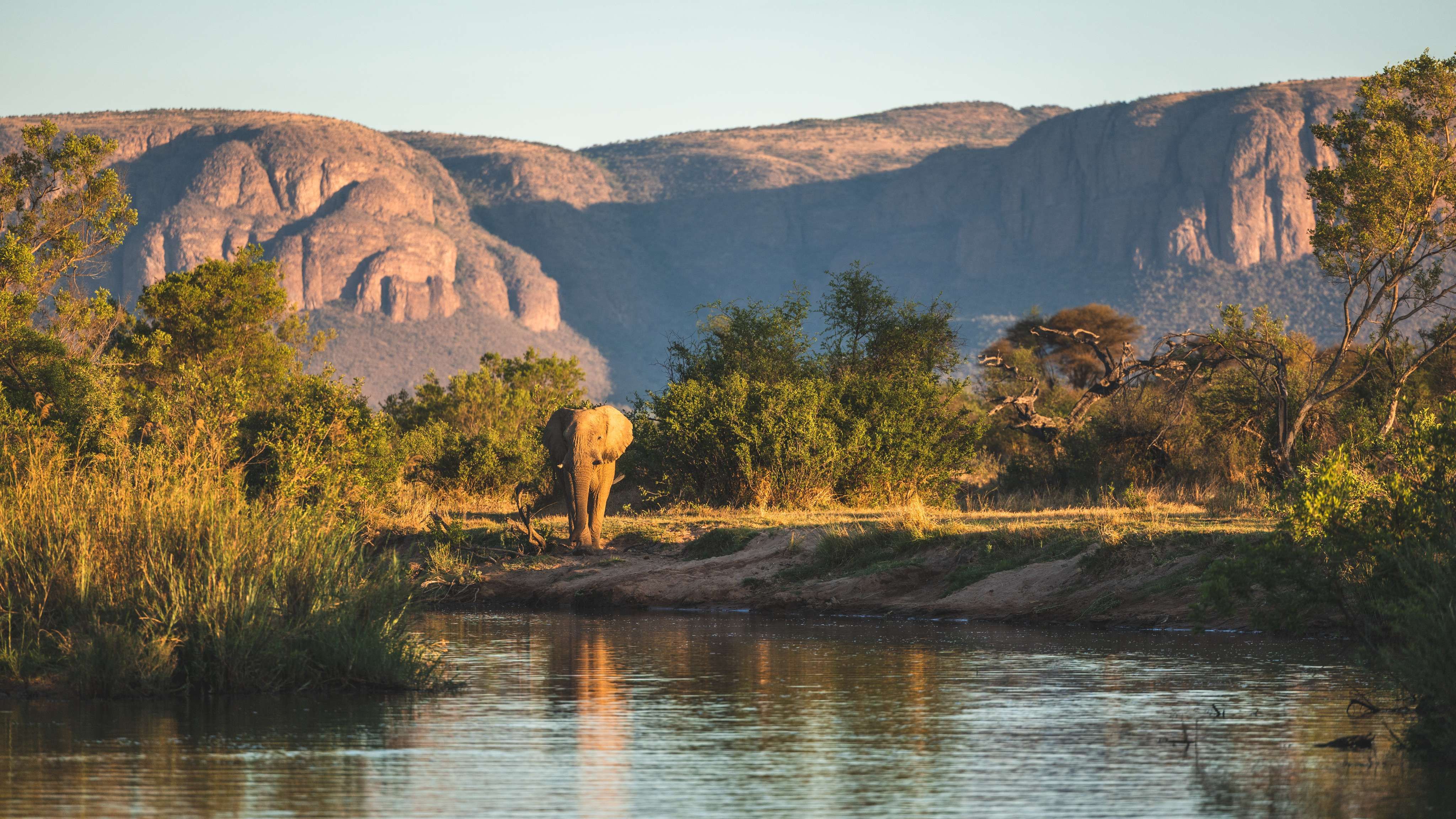 Friends of More Gallery Image