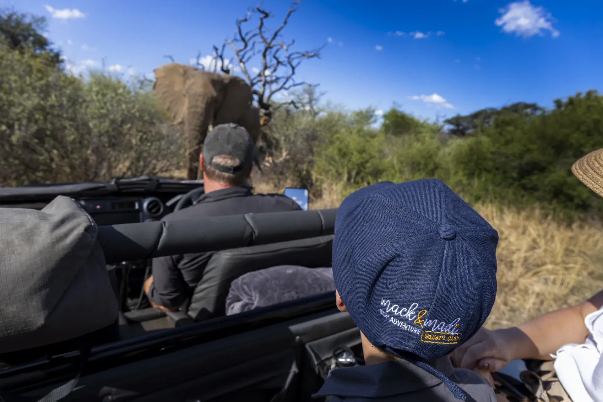 Child on a game drive at Marataba observing an elephant in the bush.