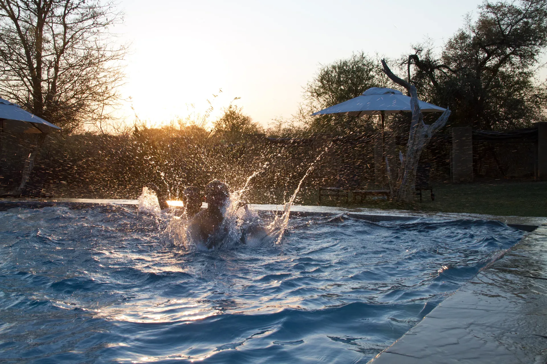 Inviting outdoor swimming pool surrounded by trees and a sunlit deck at a safari lodge