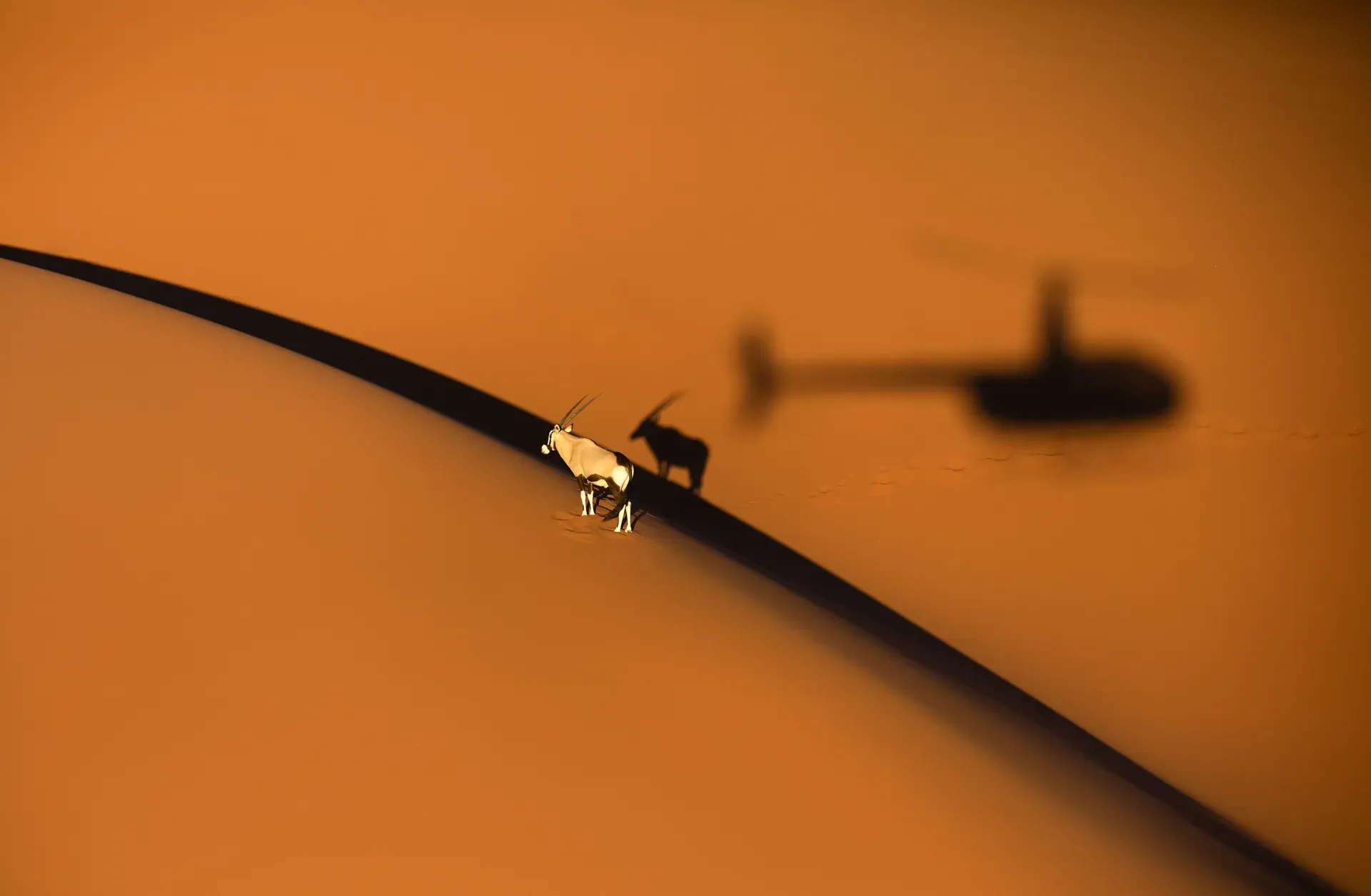 Silhouette of a helicopter flying against a golden sunset sky
