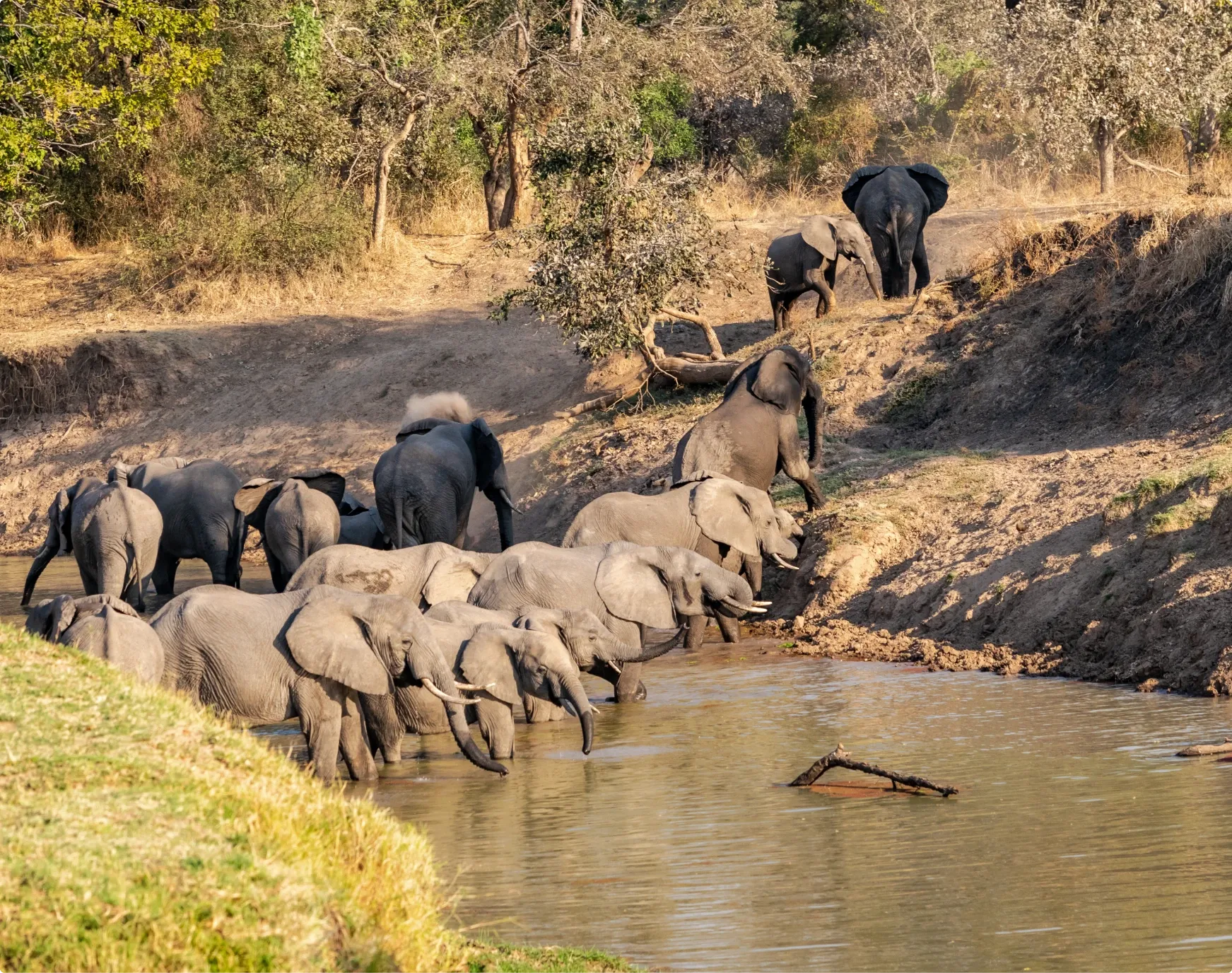Village Visit and Zambian Cooking Experience