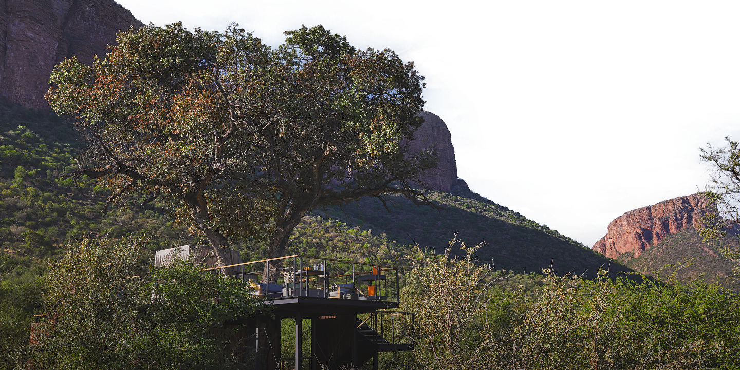 Showcase background image